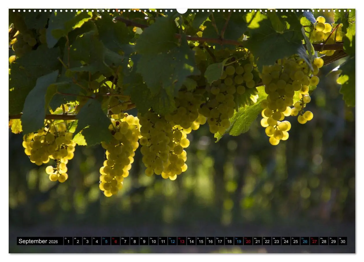 Bild: 9783457435229 | Weinstadt Strümpfelbach (hochwertiger Premium Wandkalender 2026 DIN...