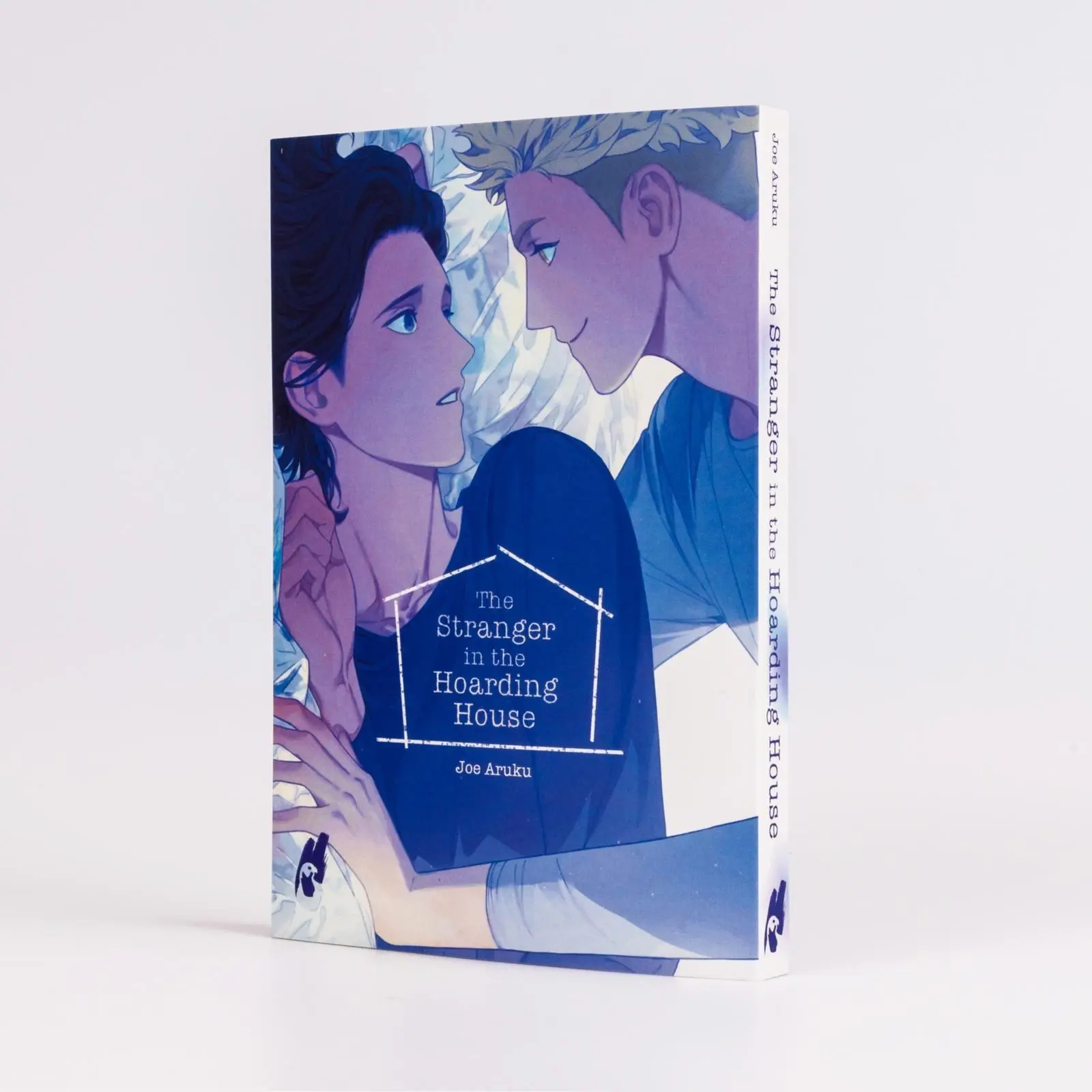 Bild: 9783551625229 | The Stranger in the Hoarding House | Joe Aruku | Taschenbuch | 192 S.