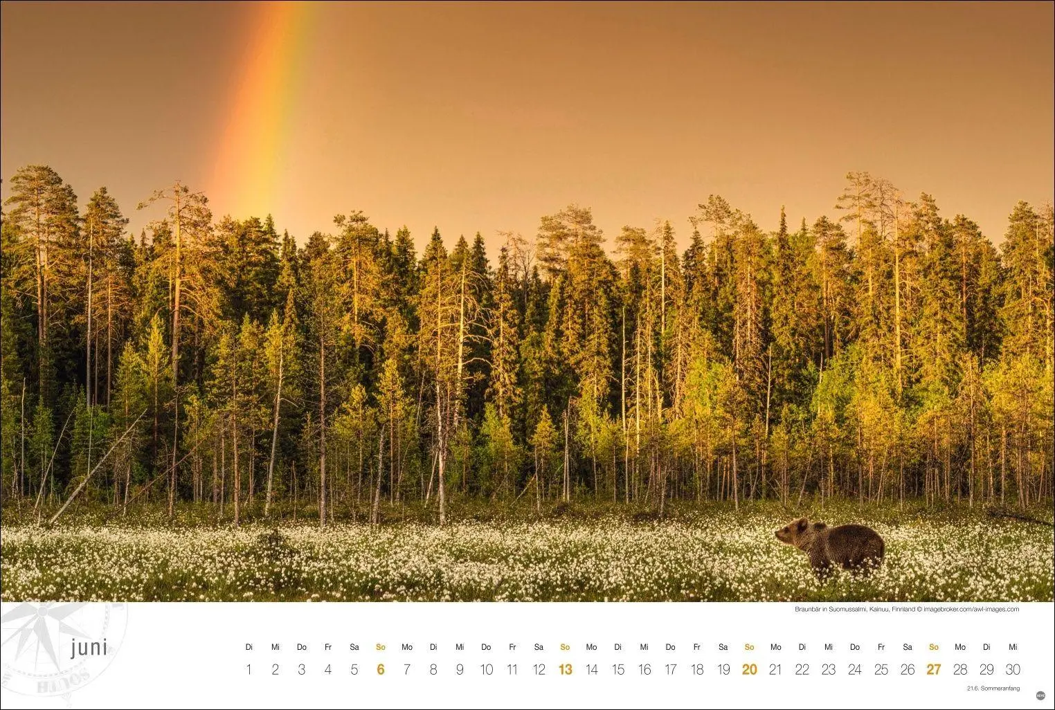 Bild: 9783756415229 | Skandinavien Globetrotter Kalender 2027 - Von stillen Wäldern, Seen...
