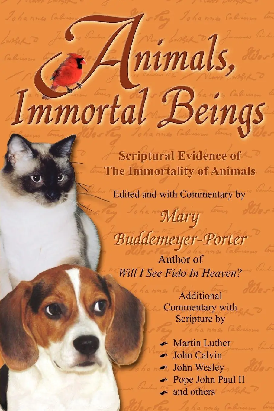 Cover: 9781420825329 | Animals, Immortal Beings | Mary Buddemeyer-Porter | Taschenbuch | 2005