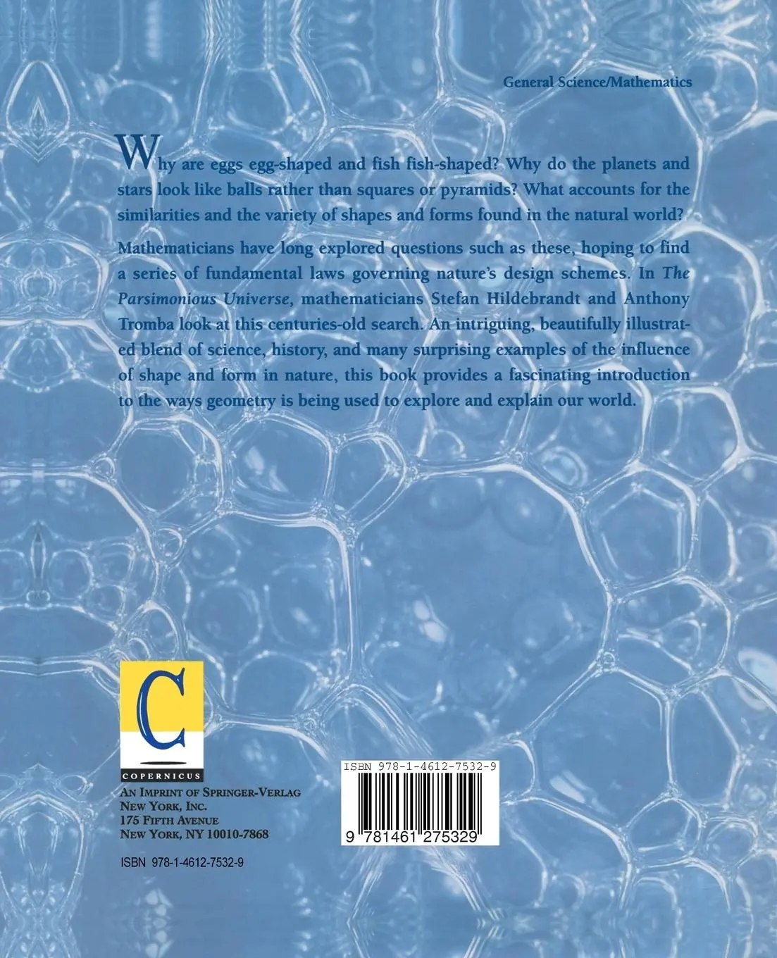 Rückseite: 9781461275329 | The Parsimonious Universe | Shape and Form in the Natural World | Buch