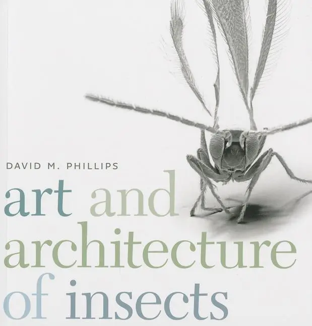 Cover: 9781611685329 | Art and Architecture of Insects | David Phillips | Taschenbuch | 2014