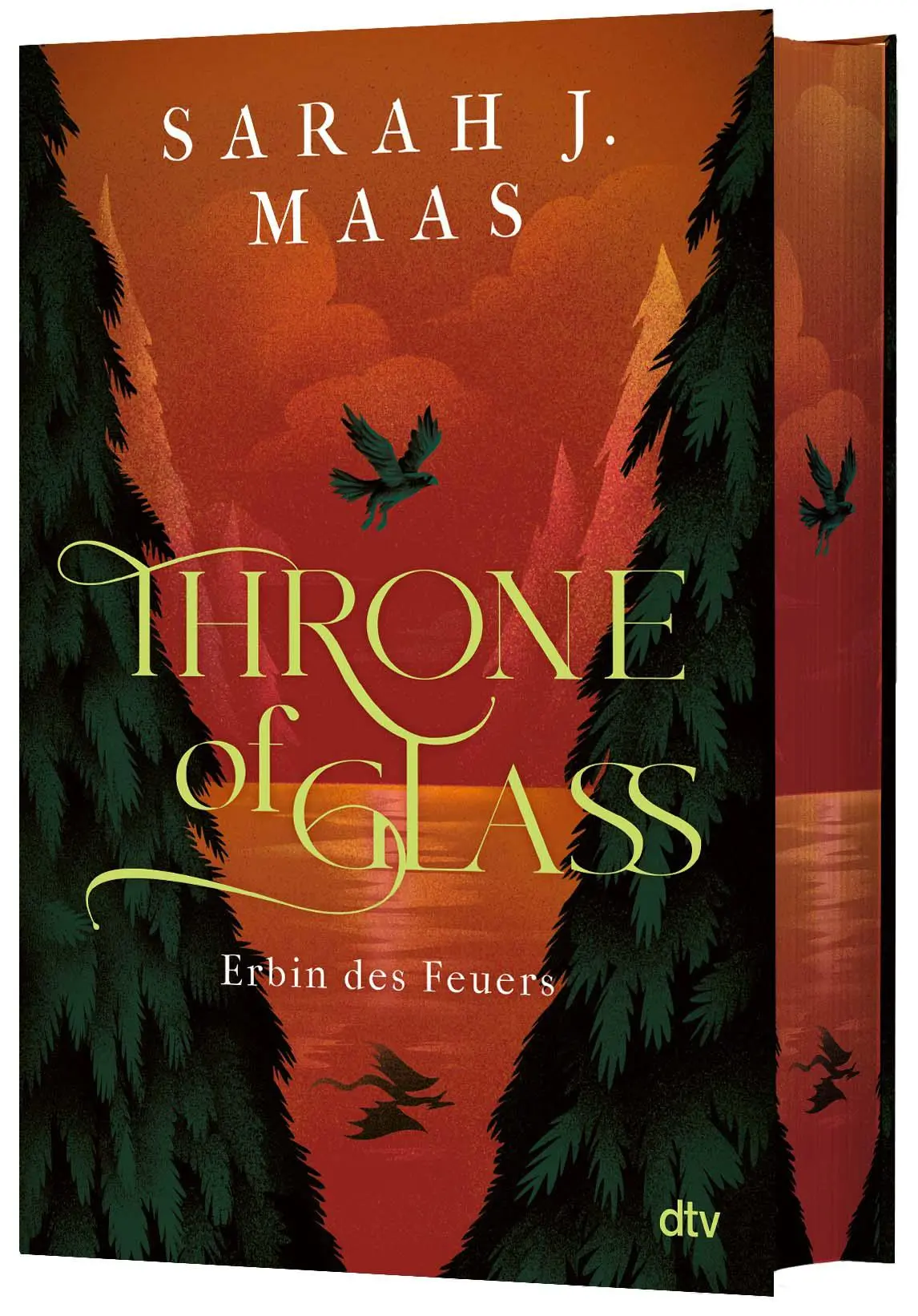 Cover: 9783423765329 | Throne of Glass - Erbin des Feuers | Sarah J. Maas | Buch | 656 S.