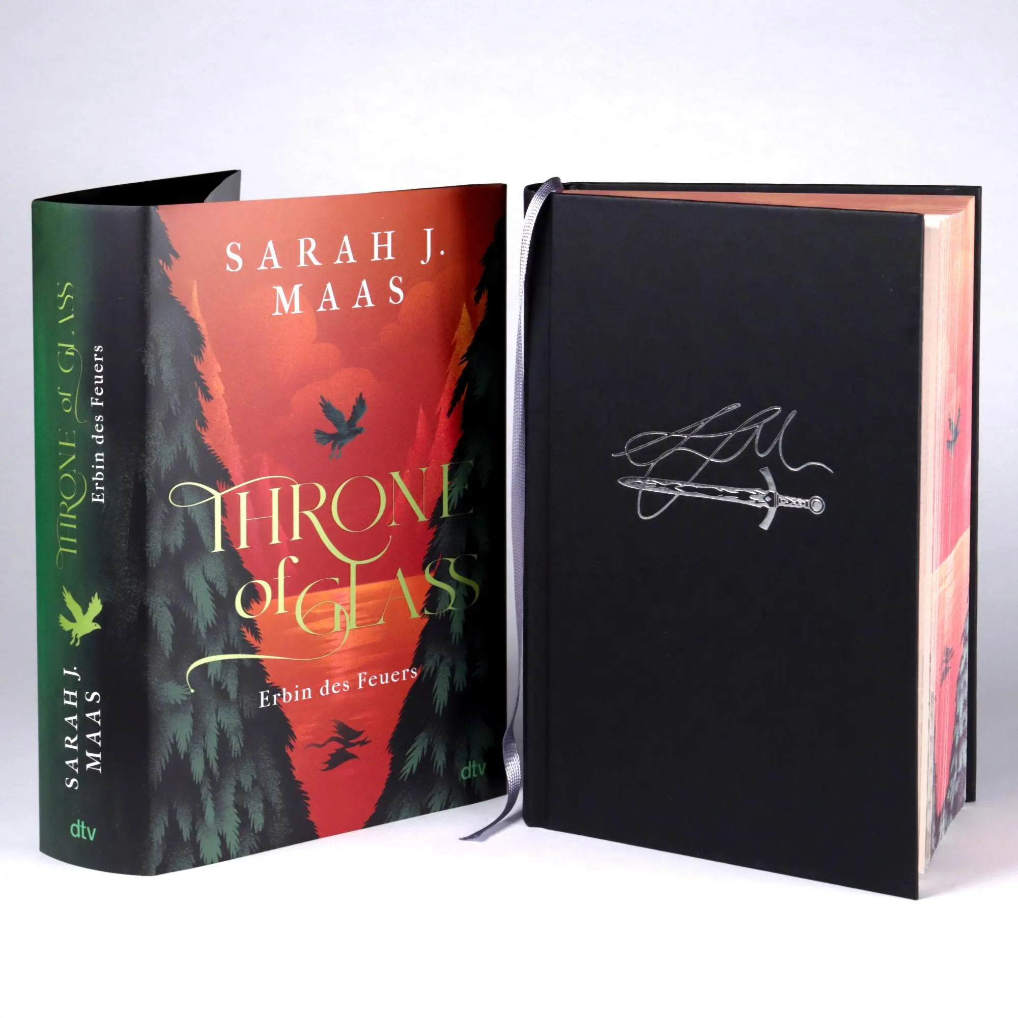 Bild: 9783423765329 | Throne of Glass - Erbin des Feuers | Sarah J. Maas | Buch | 656 S.