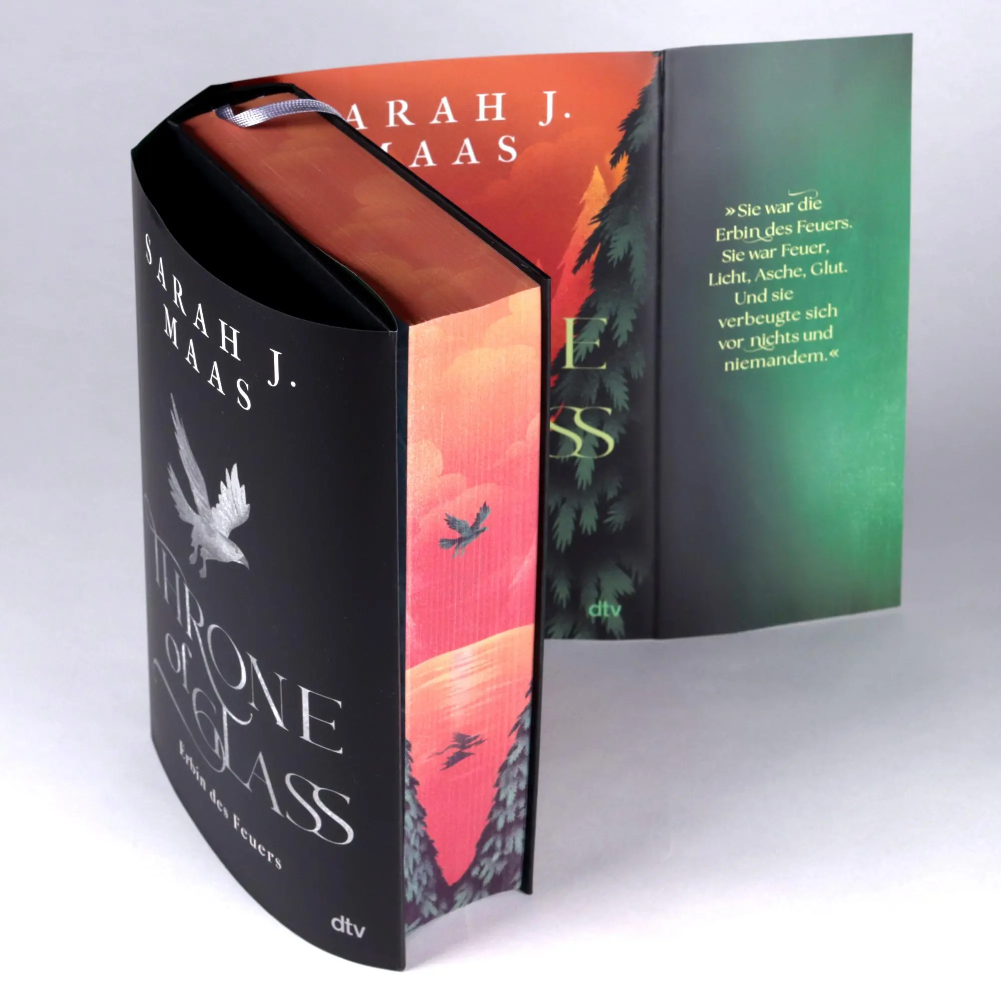 Bild: 9783423765329 | Throne of Glass - Erbin des Feuers | Sarah J. Maas | Buch | 656 S.