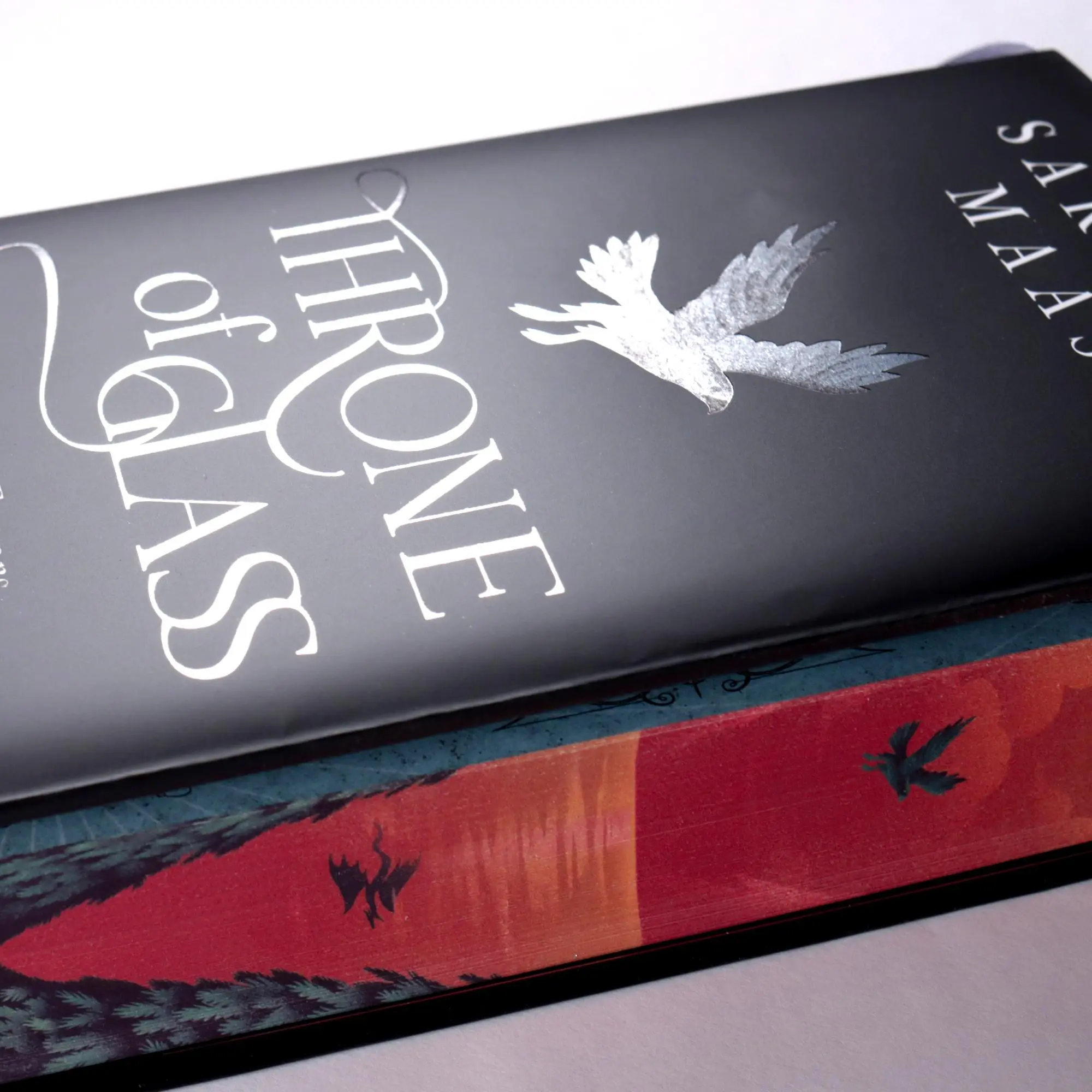 Bild: 9783423765329 | Throne of Glass - Erbin des Feuers | Sarah J. Maas | Buch | 656 S.