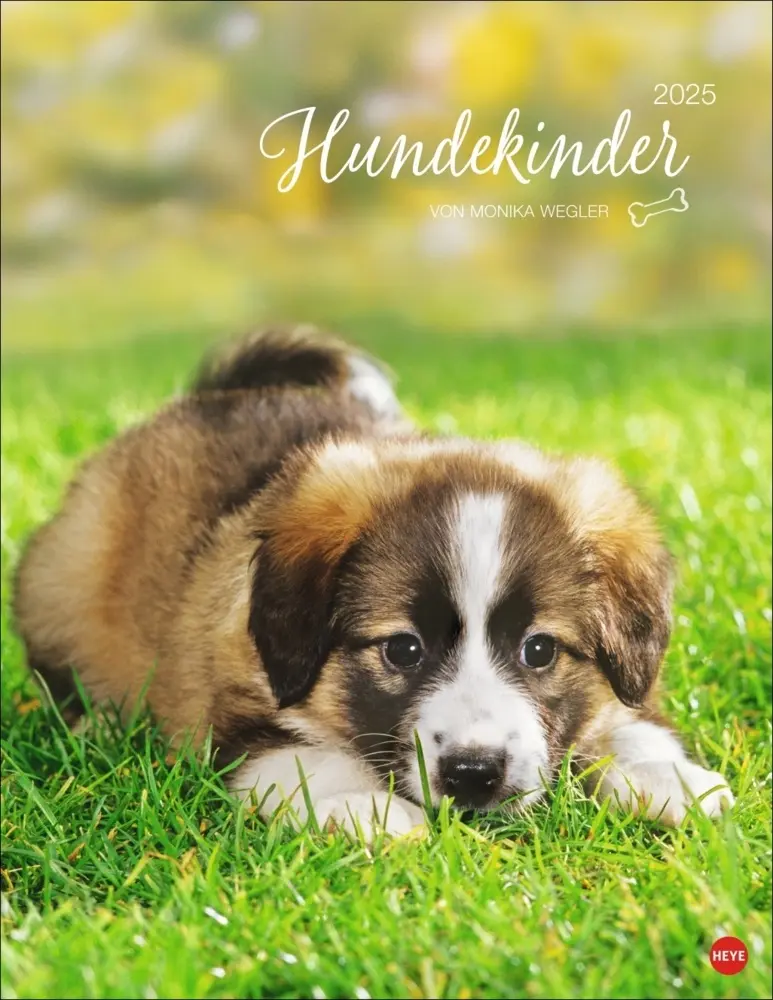 Cover: 9783756405329 | Hundekinder Posterkalender 2025 | Monika Wegler | Kalender | Deutsch