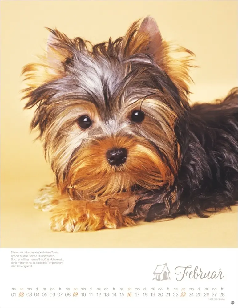 Bild: 9783756405329 | Hundekinder Posterkalender 2025 | Monika Wegler | Kalender | Deutsch