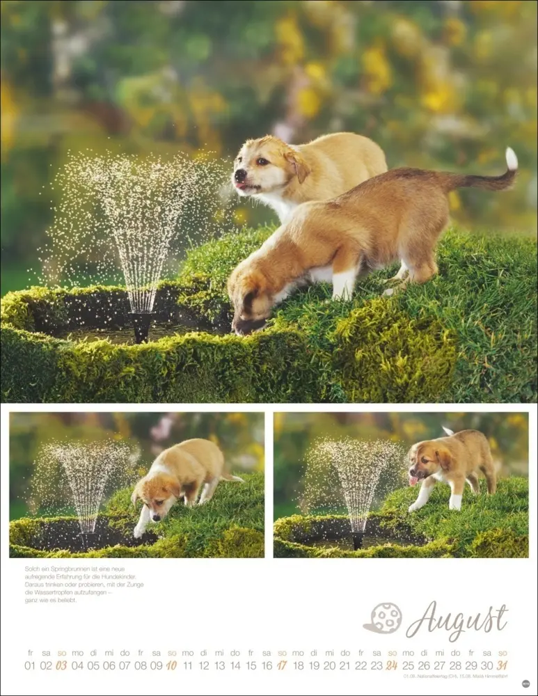 Bild: 9783756405329 | Hundekinder Posterkalender 2025 | Monika Wegler | Kalender | Deutsch