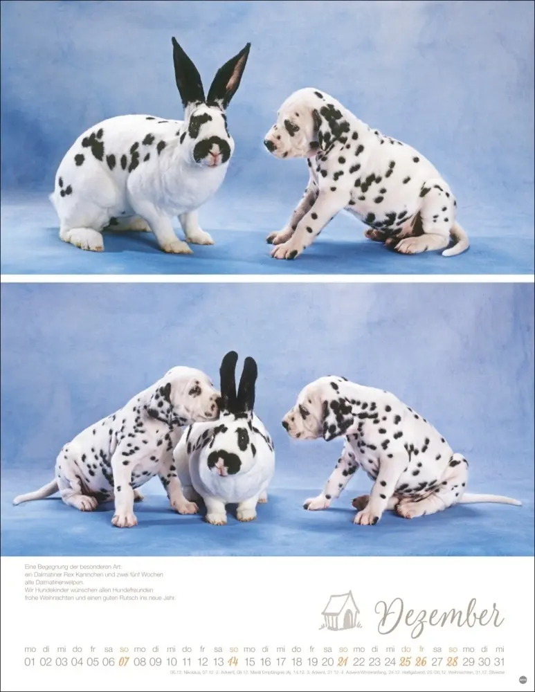 Bild: 9783756405329 | Hundekinder Posterkalender 2025 | Monika Wegler | Kalender | Deutsch