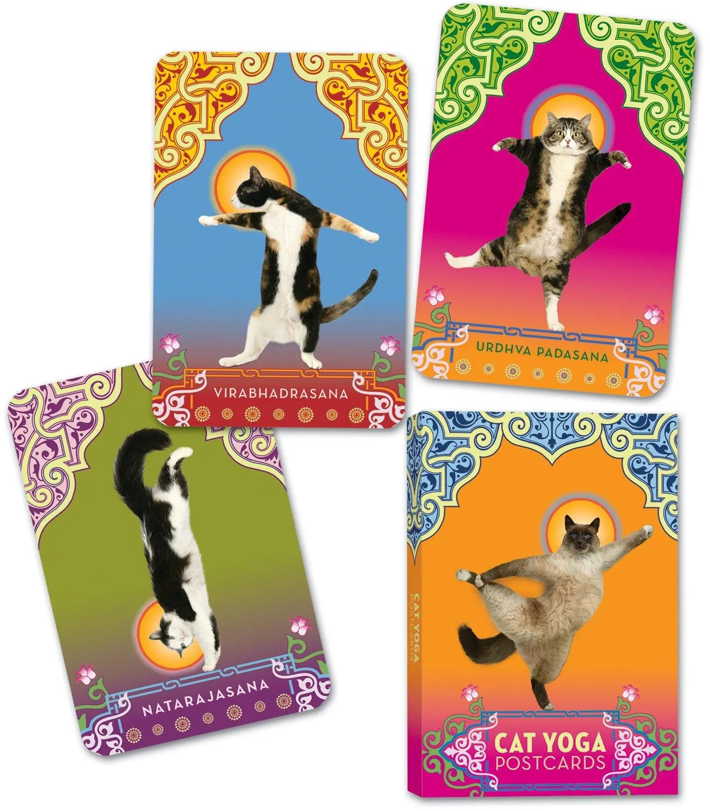 Cover: 9780307395429 | Cat Yoga Postcards | Rick Tillotson | Buch | Lehr- und Lernkarten