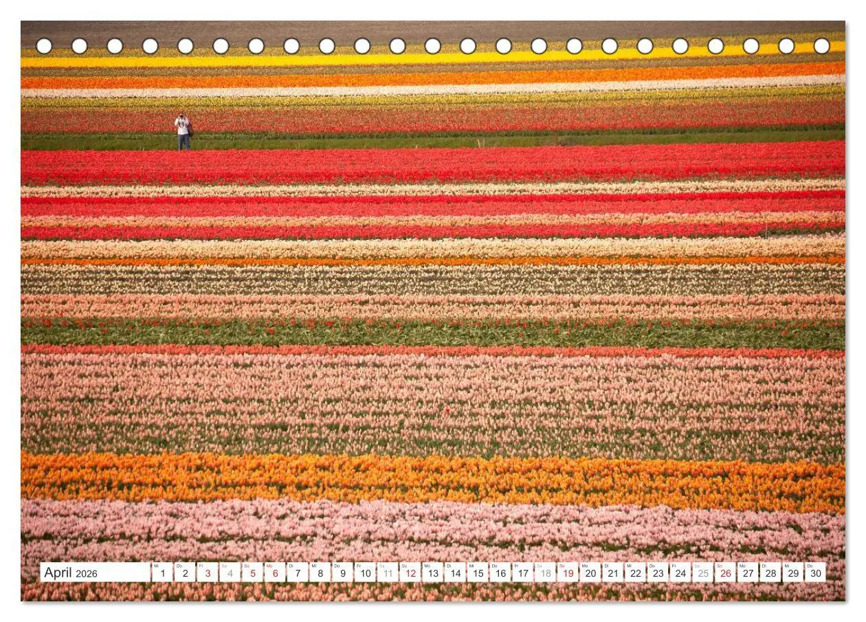 Bild: 9783457275429 | Die ganze Vielfalt der Niederlande (Tischkalender 2026 DIN A5...