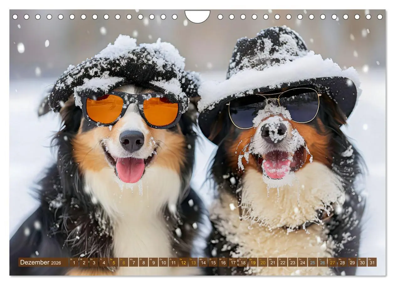 Bild: 9783457345429 | Bauernhof-Freunde - Hunde und ihre tierischen Freundschaften...