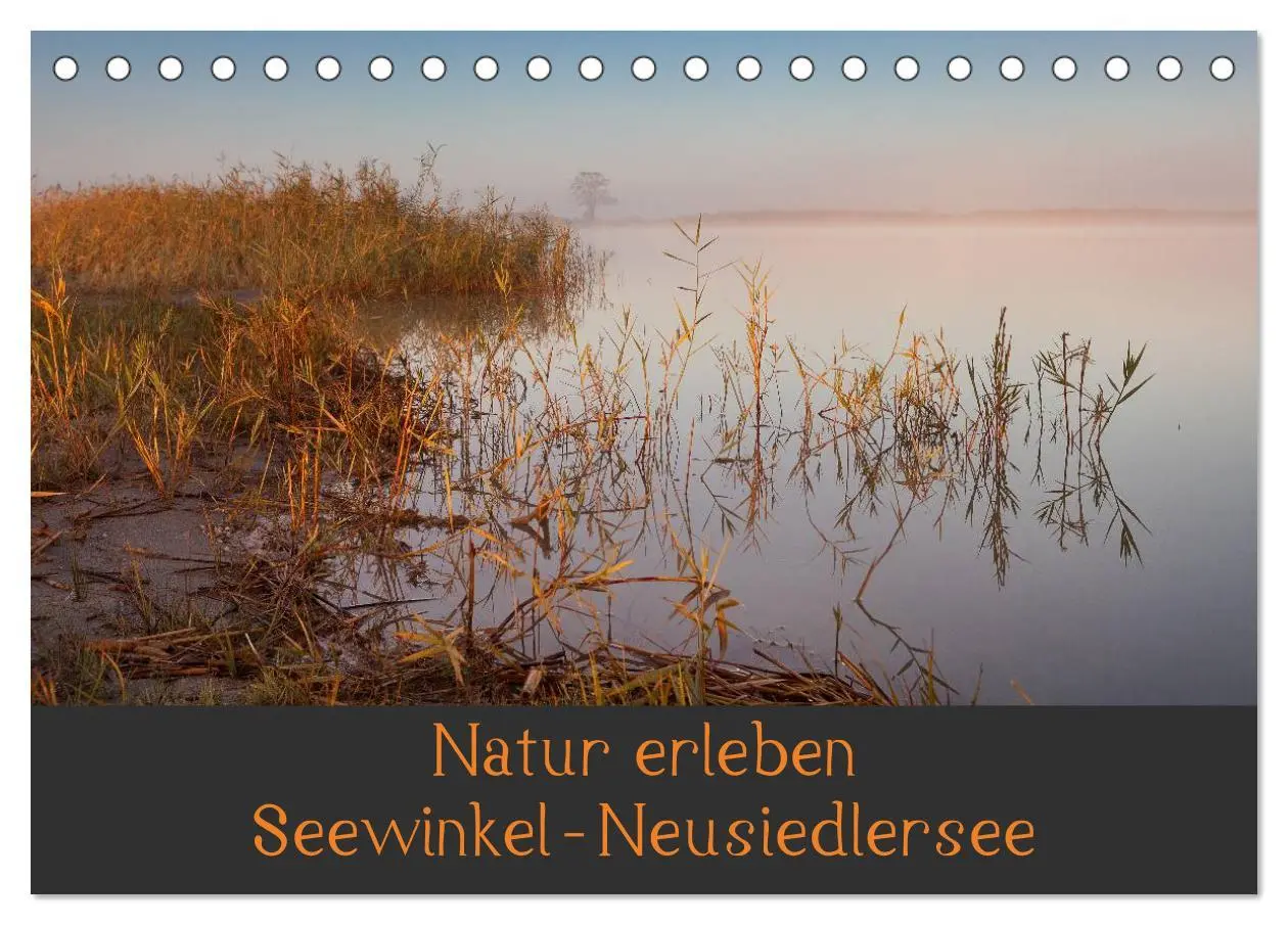 Cover: 9783457965429 | Natur erleben Seewinkel-Neusiedlersee (Tischkalender 2026 DIN A5...