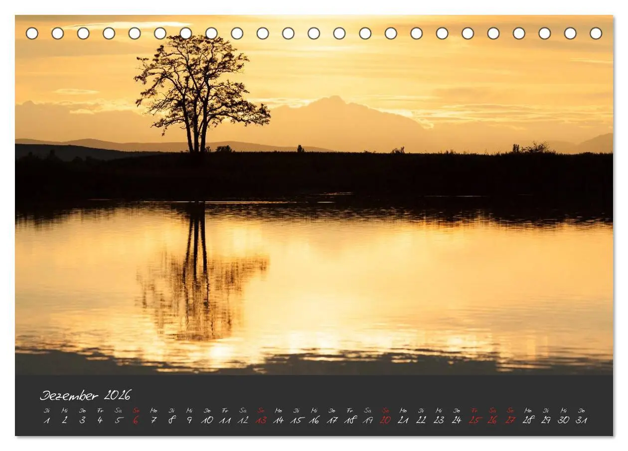 Bild: 9783457965429 | Natur erleben Seewinkel-Neusiedlersee (Tischkalender 2026 DIN A5...