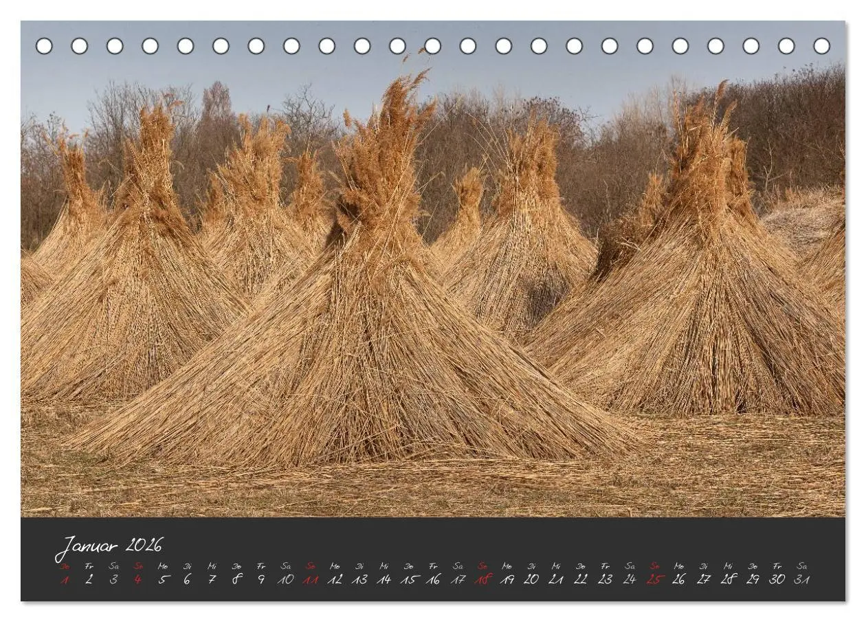 Bild: 9783457965429 | Natur erleben Seewinkel-Neusiedlersee (Tischkalender 2026 DIN A5...