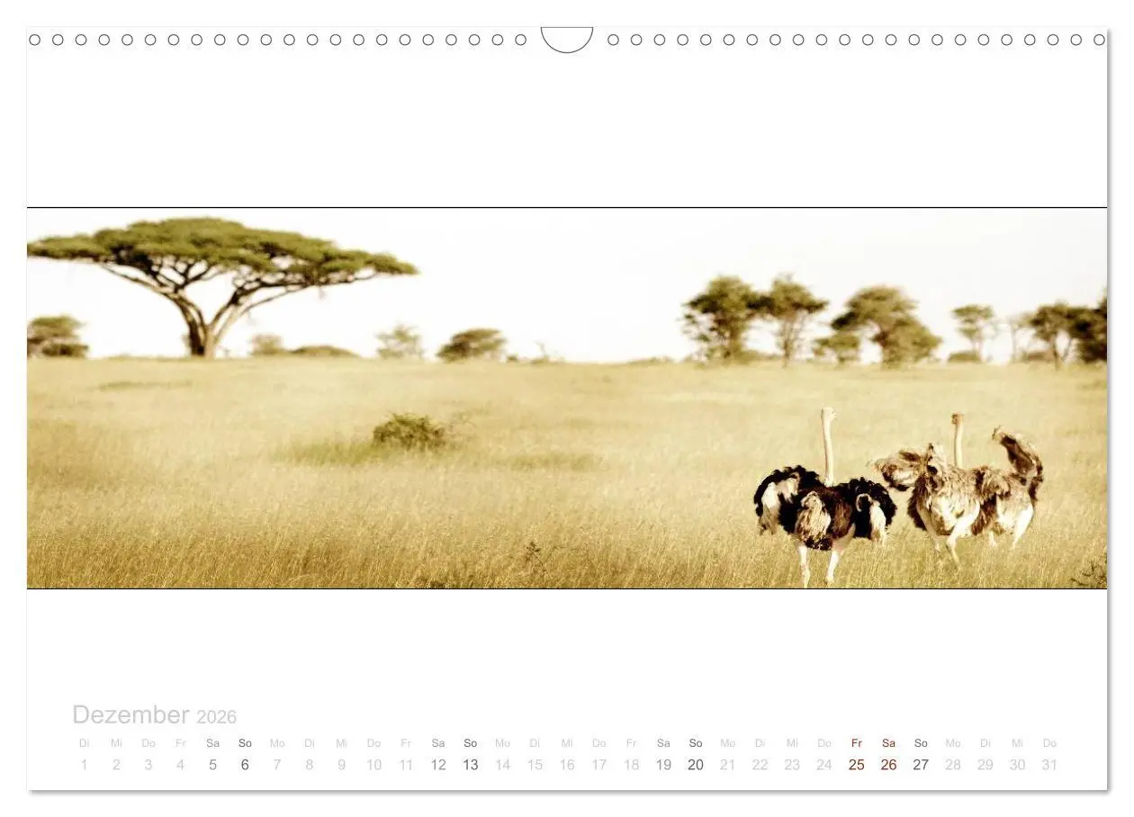 Bild: 9783516125429 | Serengeti Panorama (Wandkalender 2026 DIN A3 quer), CALVENDO...
