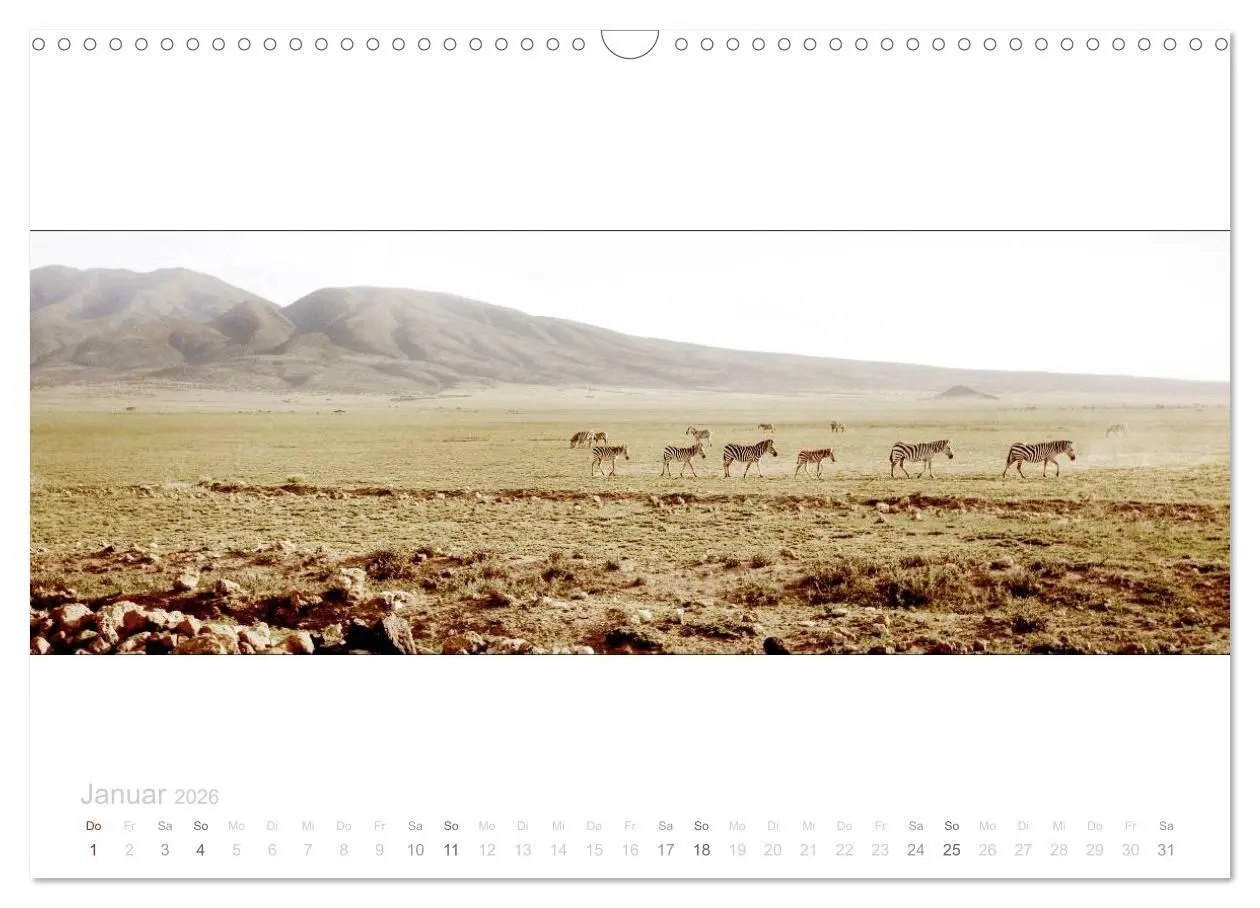 Bild: 9783516125429 | Serengeti Panorama (Wandkalender 2026 DIN A3 quer), CALVENDO...