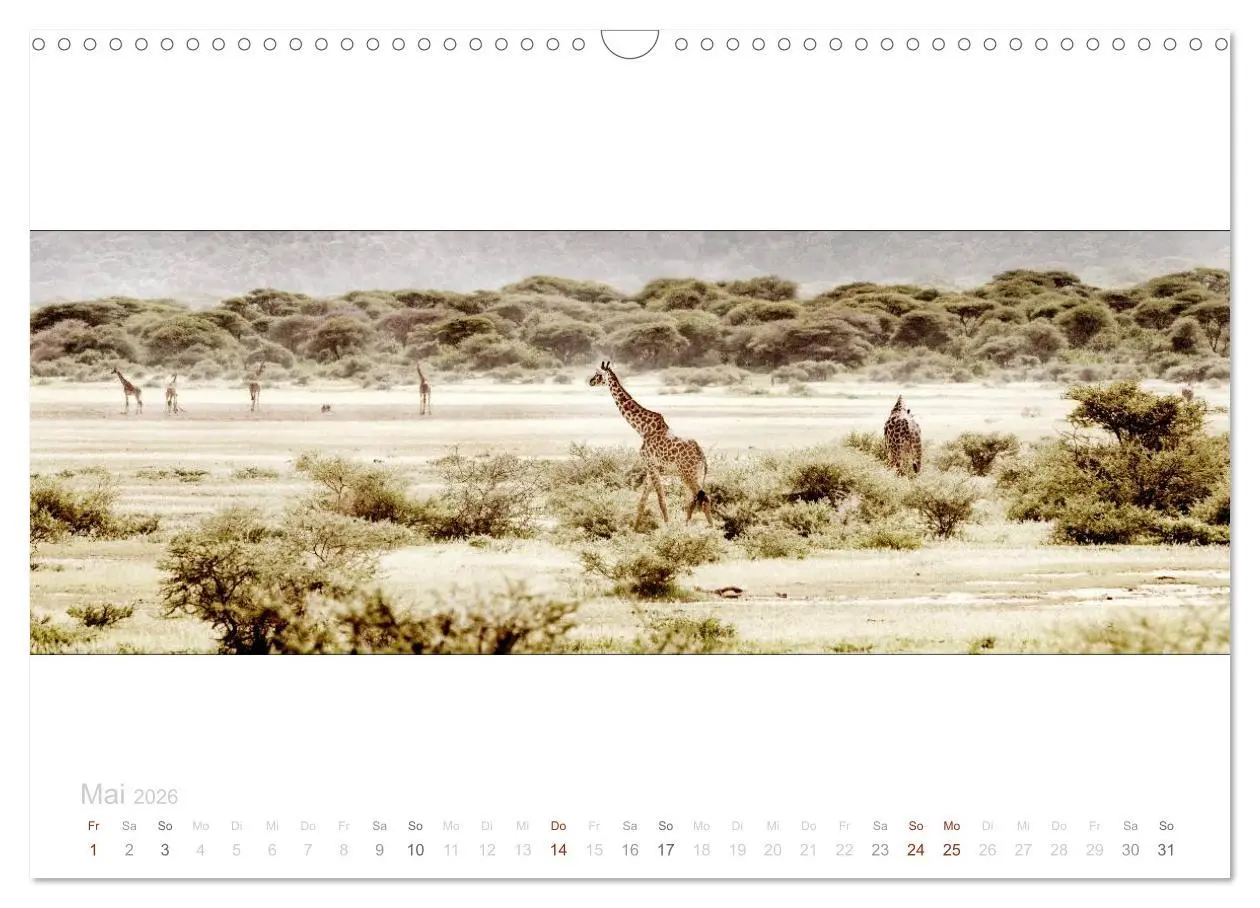 Bild: 9783516125429 | Serengeti Panorama (Wandkalender 2026 DIN A3 quer), CALVENDO...