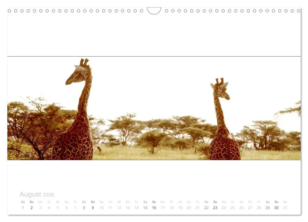 Bild: 9783516125429 | Serengeti Panorama (Wandkalender 2026 DIN A3 quer), CALVENDO...