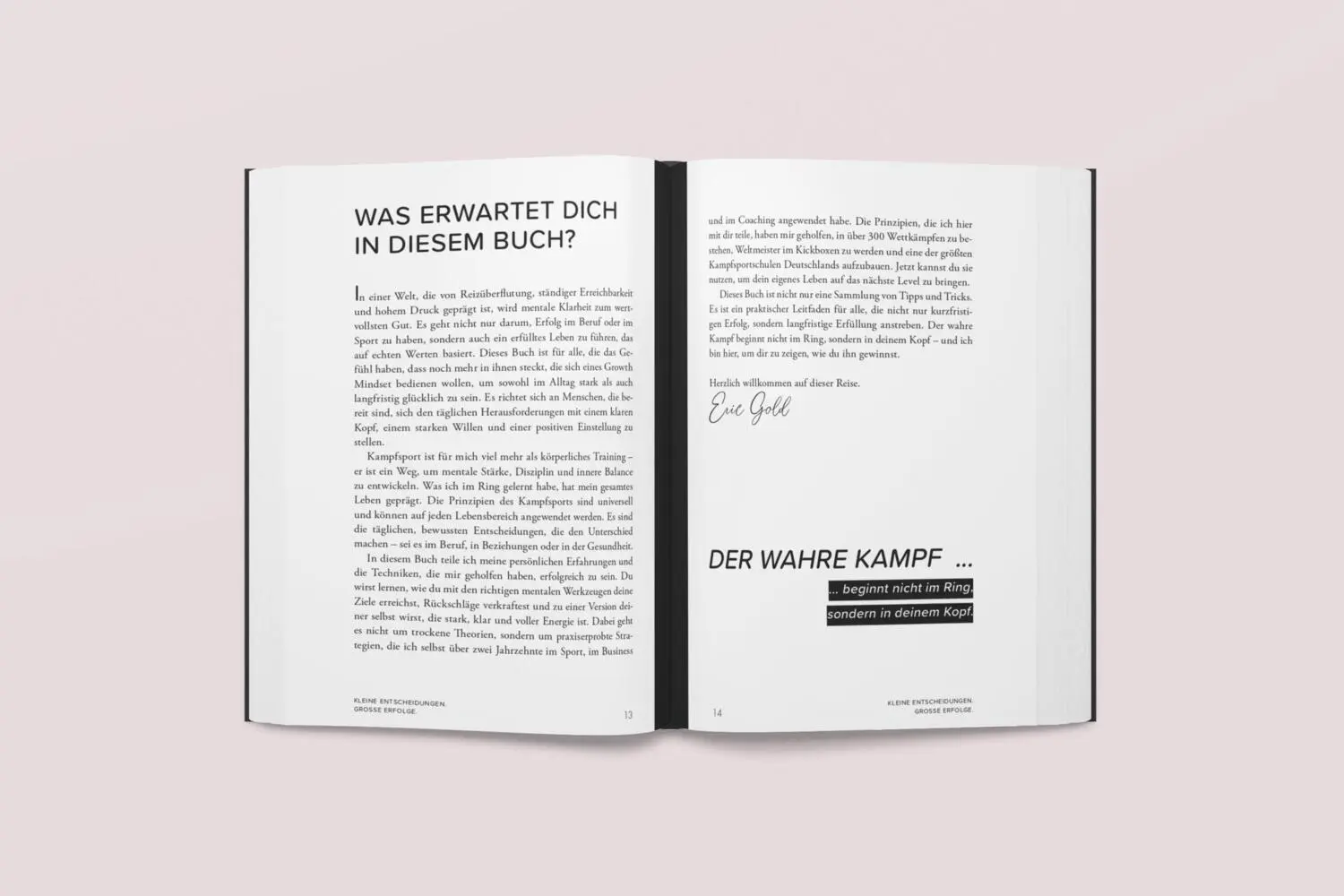 Bild: 9783910385429 | Kleine Entscheidungen, große Erfolge. | Eric Gold | Taschenbuch | 2024