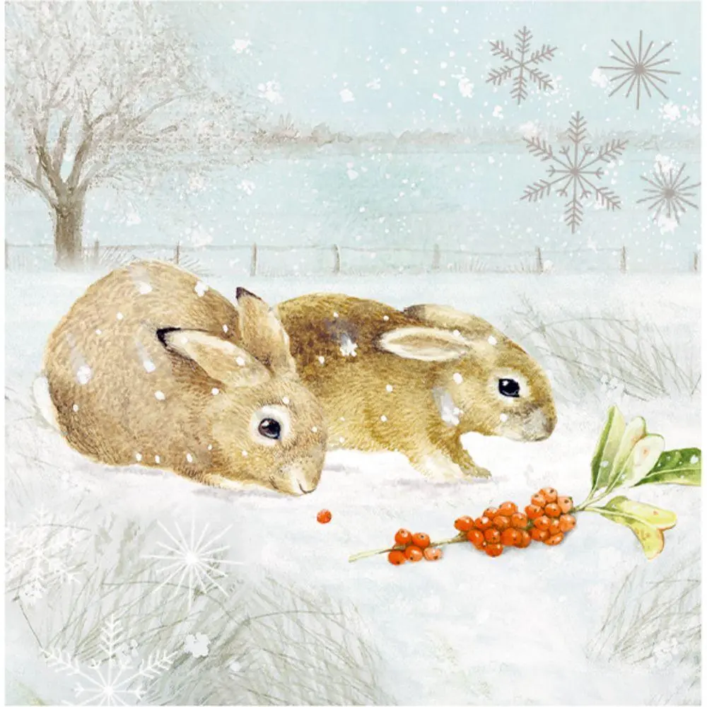 Bild: 4050003725529 | Wandkalender Wintermorgen mit Rotkehlchen | Marjolein Bastin | 1 S.
