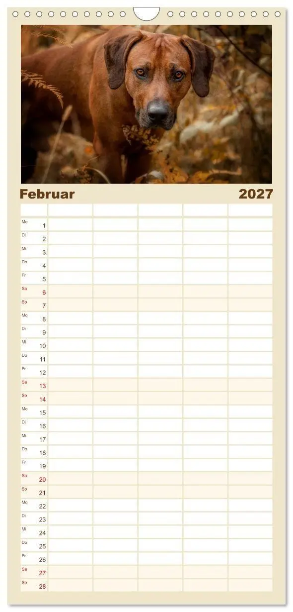 Bild: 9783594335529 | Familienplaner 2027 - Rhodesian Ridgeback - Herzen auf vier Pfoten...
