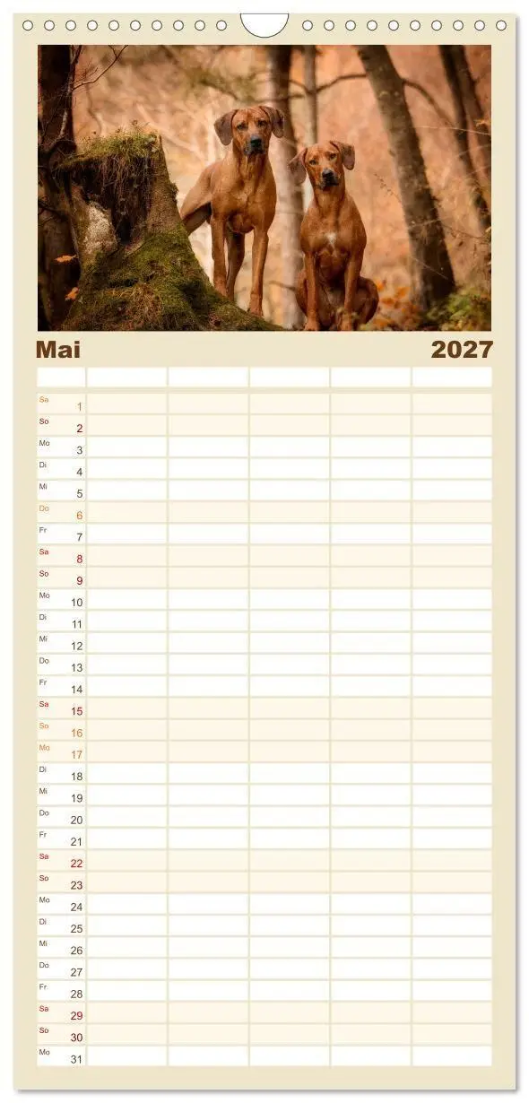 Bild: 9783594335529 | Familienplaner 2027 - Rhodesian Ridgeback - Herzen auf vier Pfoten...