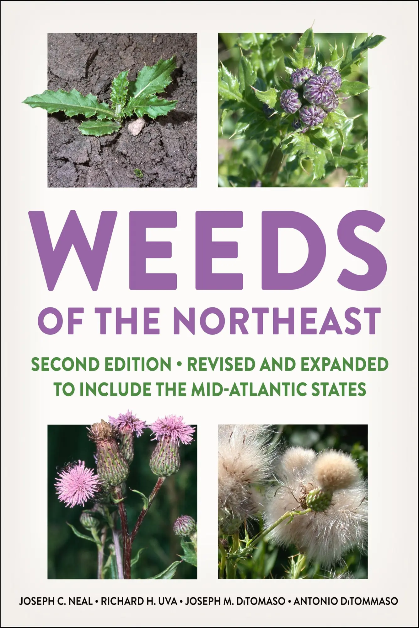 Cover: 9781501755729 | Weeds of the Northeast | Joseph C Neal (u. a.) | Taschenbuch | 2023
