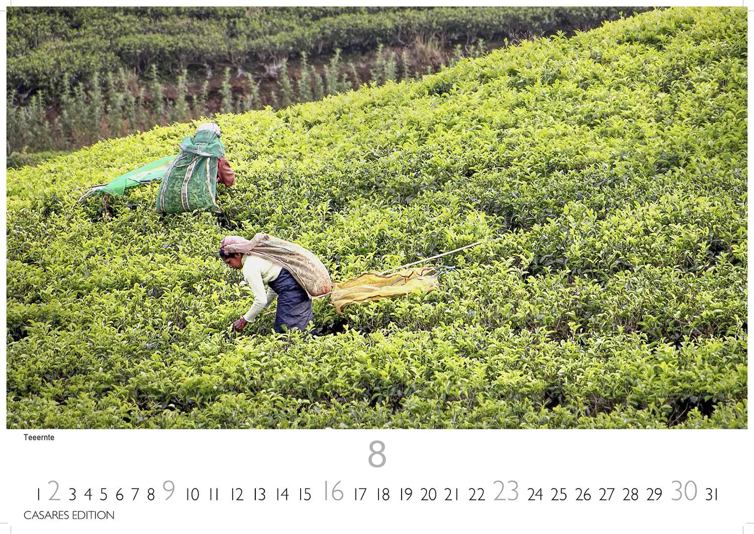 Bild: 9781835245729 | Sri Lanka Kalender 2026 - Wandkalender Fotokalender Orient L...