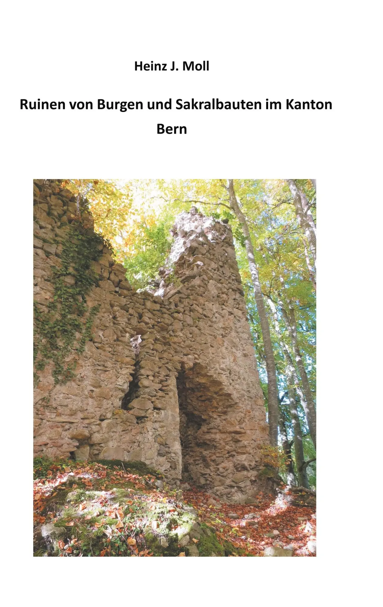 Cover: 9783749465729 | Ruinen von Burgen und Sakralbauten im Kanton Bern | Heinz J. Moll