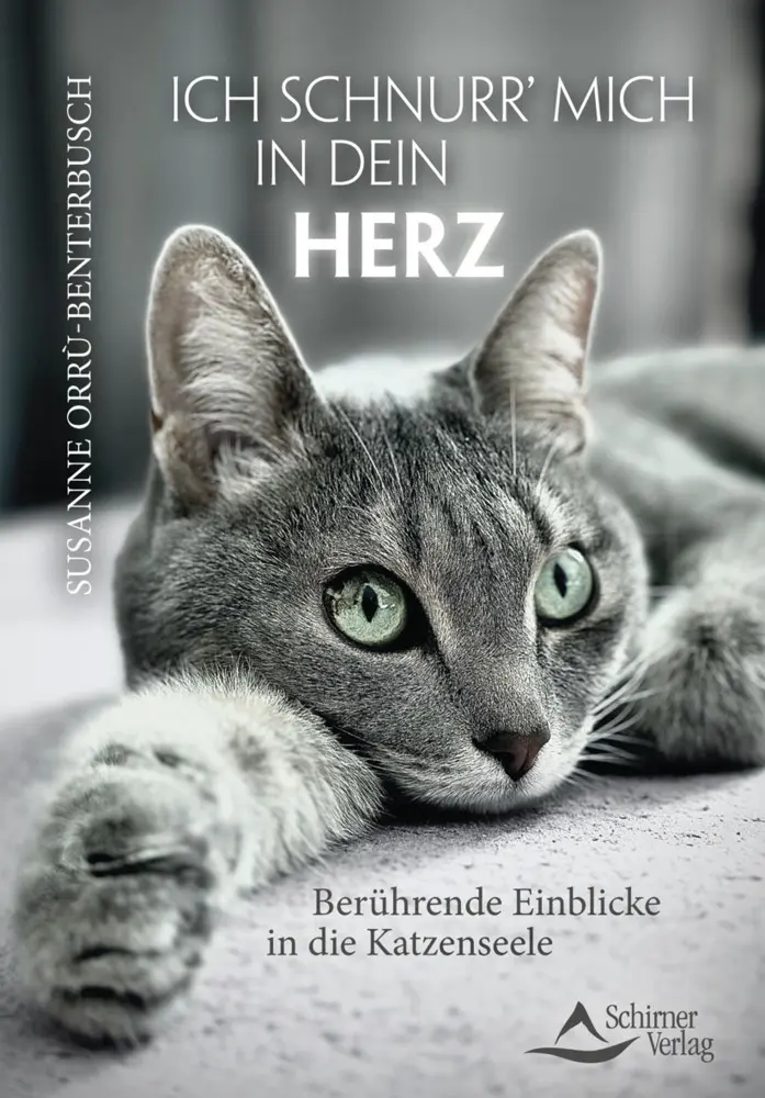 Cover: 9783843415729 | Ich schnurr' mich in dein Herz | Susanne Orrù-Benterbusch | Buch