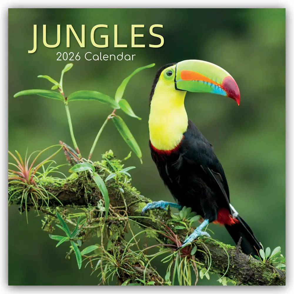 Cover: 9781836225829 | Jungles - Dschungel 2026 - 16-Monatskalender | Ltd | Kalender | 14 S.
