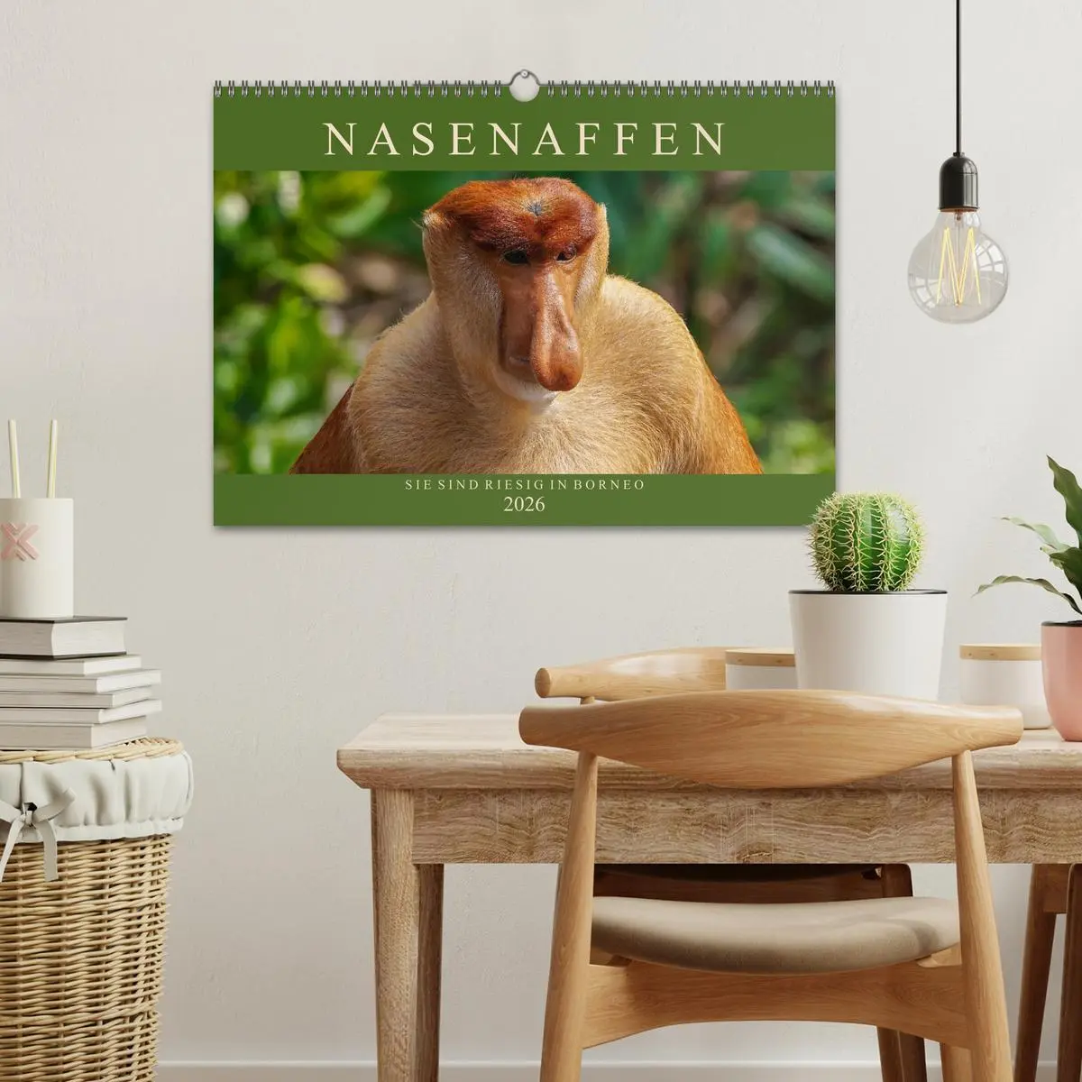 Bild: 9783457785829 | Nasenaffen von Borneo (Wandkalender 2026 DIN A3 quer), CALVENDO...