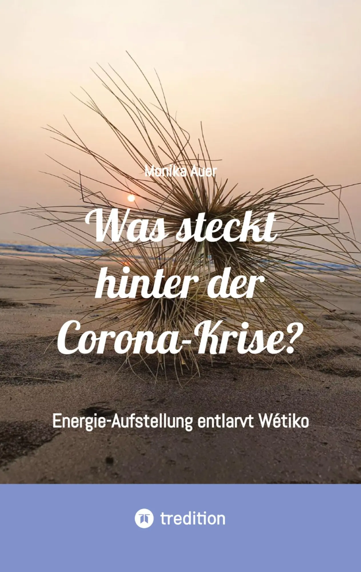 Cover: 9783347955929 | Was steckt hinter der Corona-Krise? | Monika Auer | Taschenbuch | 2020