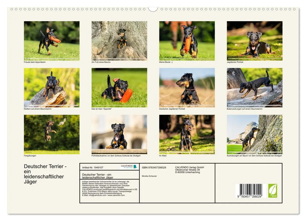 Bild: 9783457356029 | Deutscher Terrier - ein leidenschaftlicher Jäger (hochwertiger...