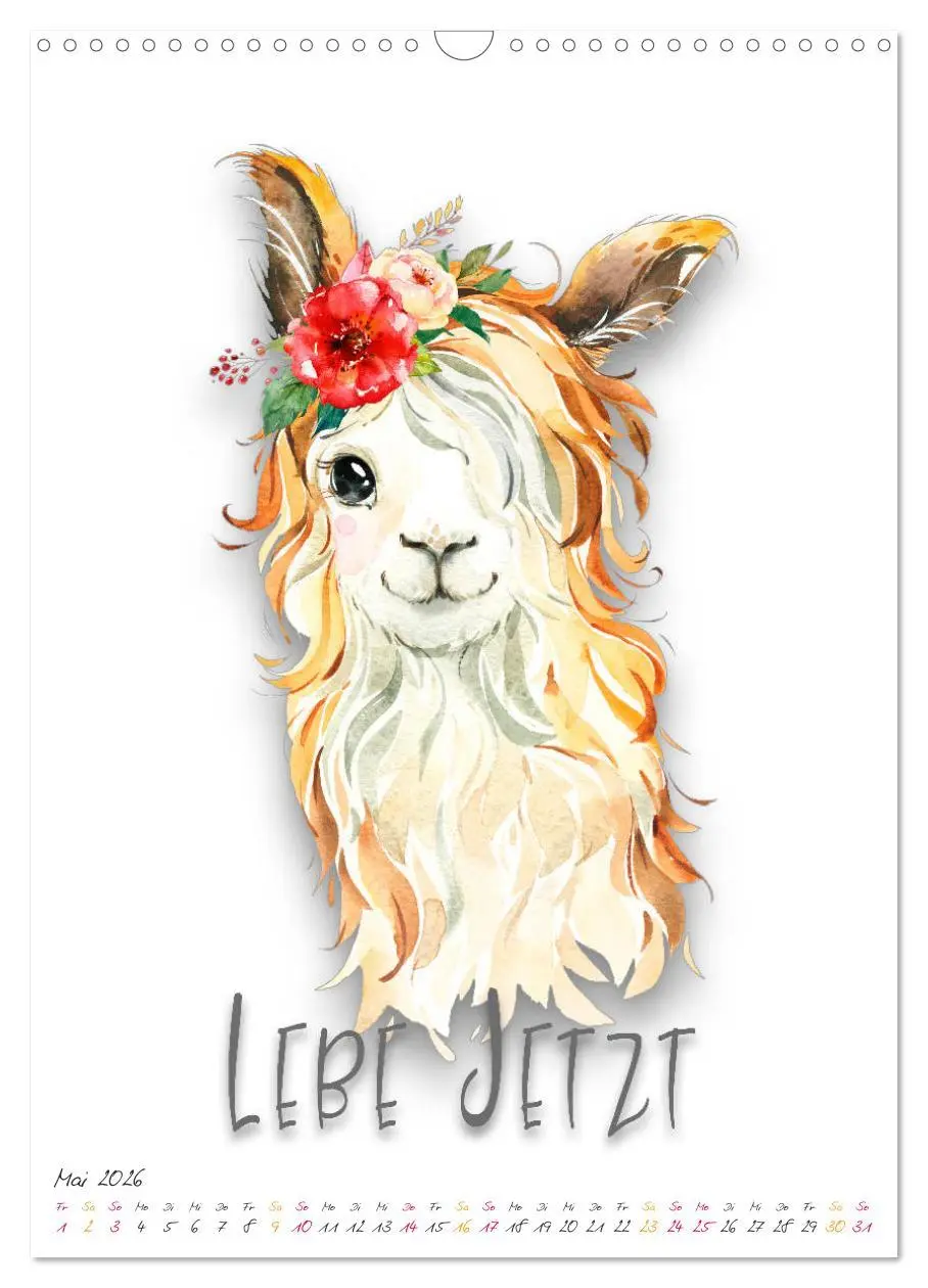 Bild: 9783516376029 | Freu Dich - Gute-Laune-Motivations-Kalender (Wandkalender 2026 DIN...