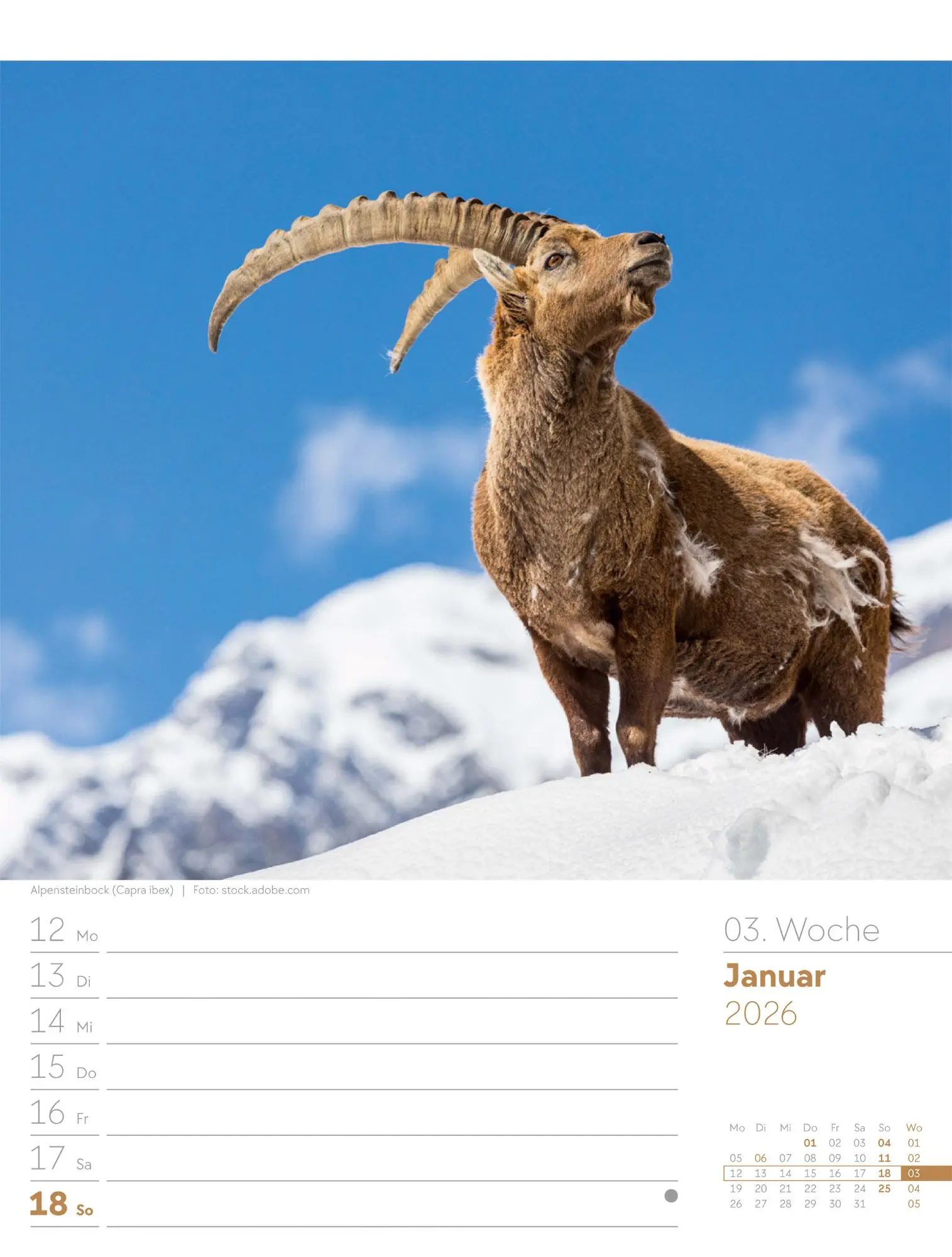 Bild: 9783838436029 | Faszination Alpenwelt - Wochenplaner Kalender 2026 | GmbH | Kalender