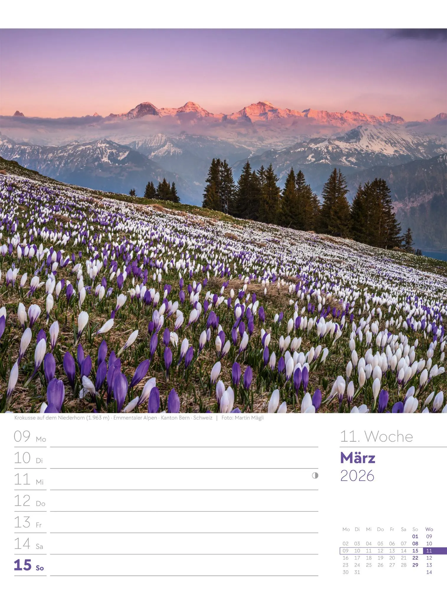 Bild: 9783838436029 | Faszination Alpenwelt - Wochenplaner Kalender 2026 | GmbH | Kalender