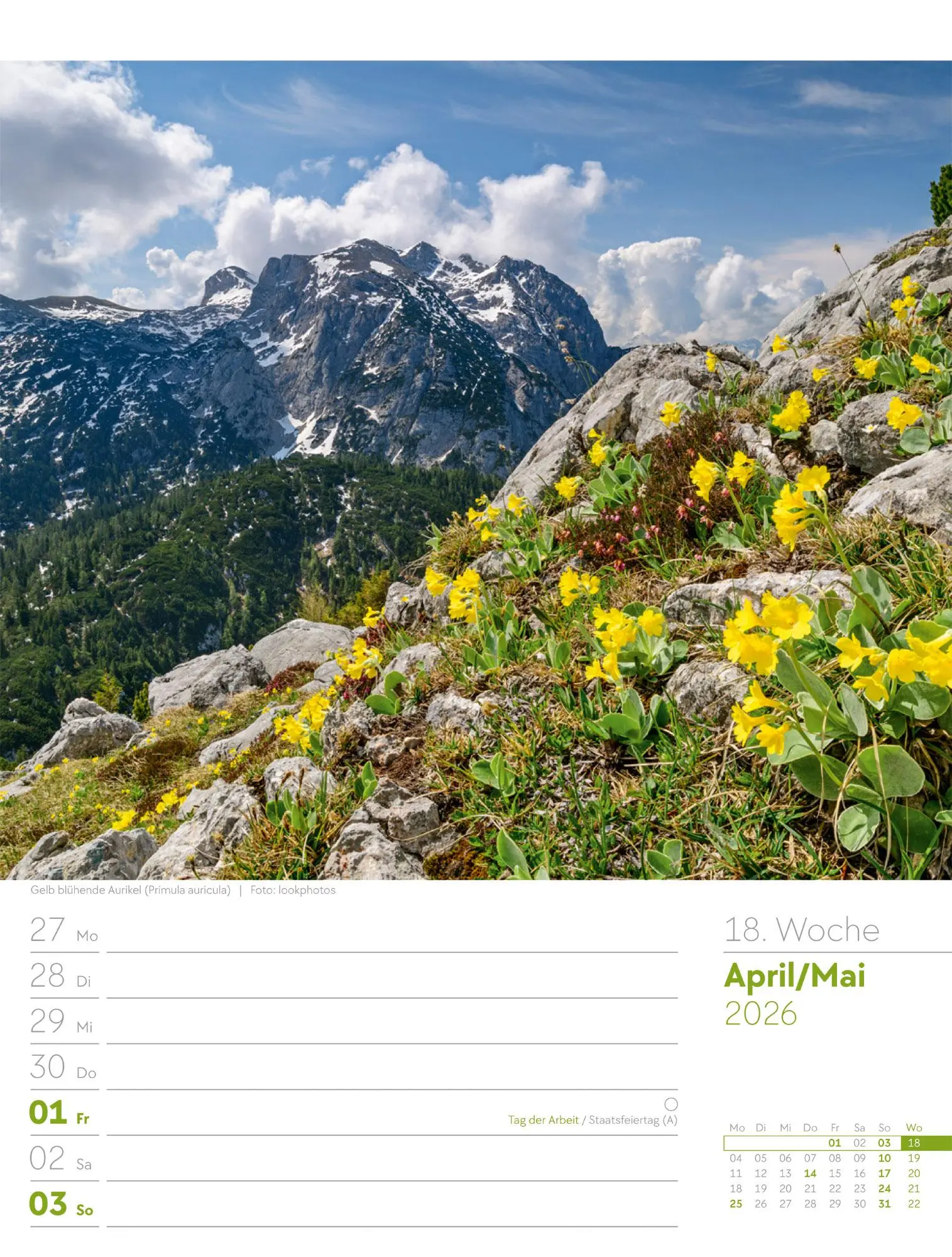 Bild: 9783838436029 | Faszination Alpenwelt - Wochenplaner Kalender 2026 | GmbH | Kalender