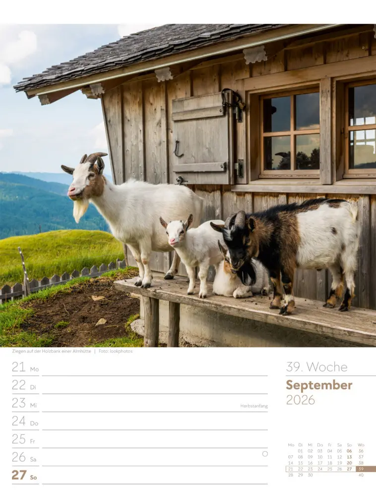Bild: 9783838436029 | Faszination Alpenwelt Wochenplaner Kalender 2026 | GmbH | Kalender
