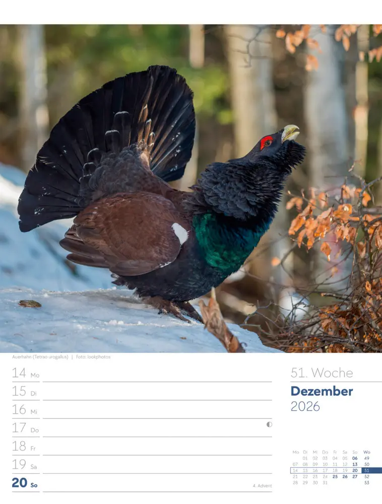 Bild: 9783838436029 | Faszination Alpenwelt Wochenplaner Kalender 2026 | GmbH | Kalender