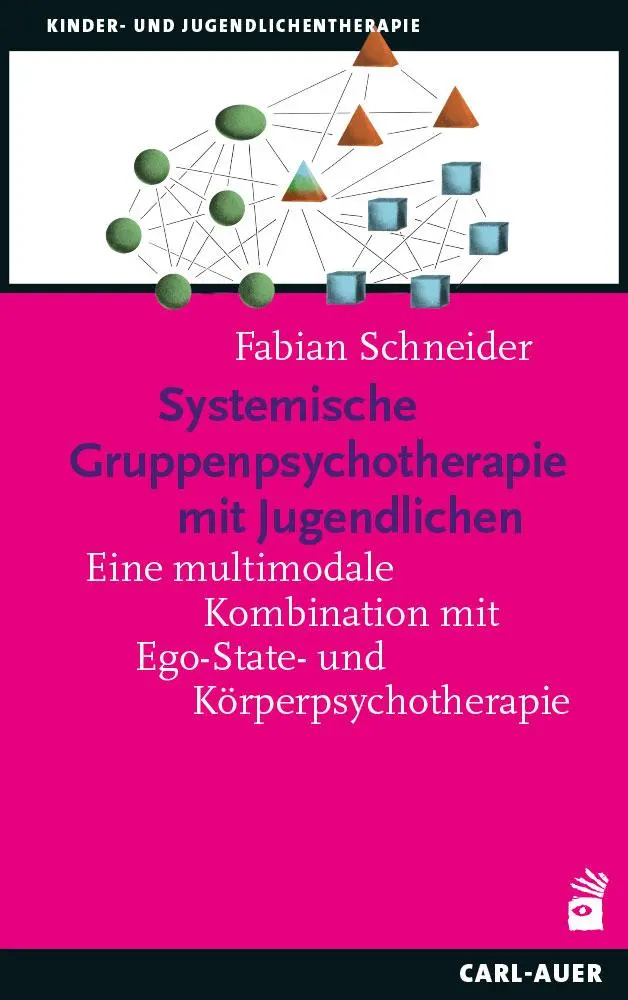 Cover: 9783849706029 | Systemische Gruppenpsychotherapie mit Jugendlichen | Fabian Schneider