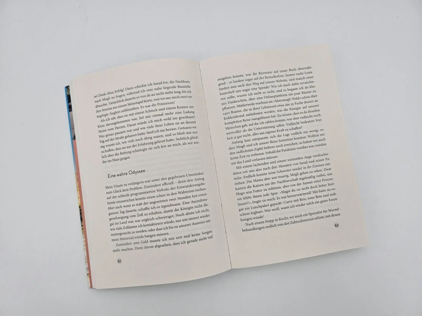 Bild: 9783890296029 | Mit der Katze weiter um die Welt | Martin Klauka | Taschenbuch | 2025