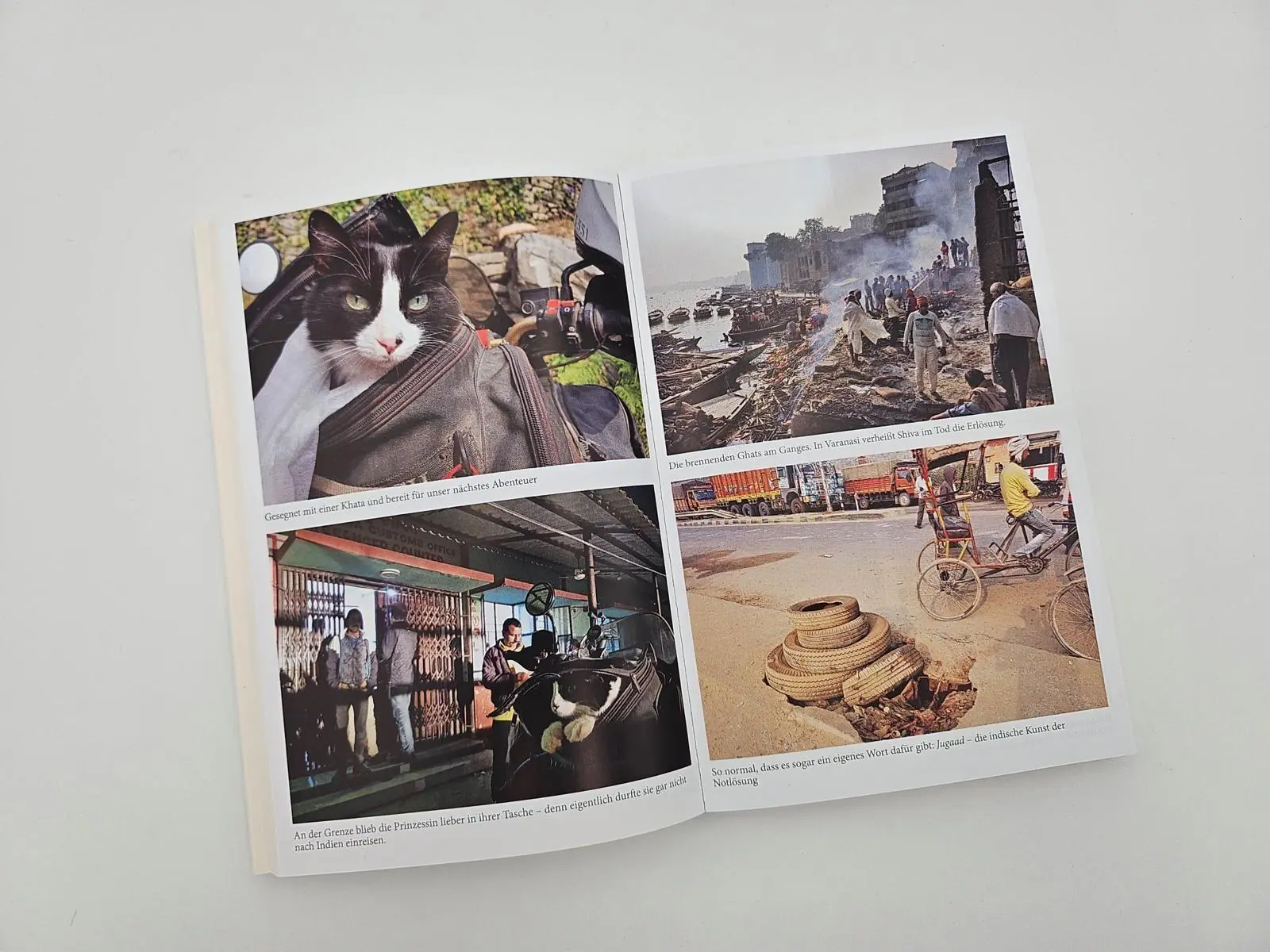 Bild: 9783890296029 | Mit der Katze weiter um die Welt | Martin Klauka | Taschenbuch | 2025