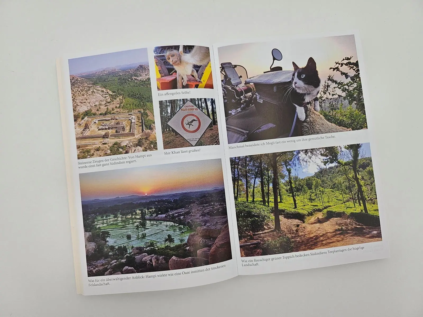 Bild: 9783890296029 | Mit der Katze weiter um die Welt | Martin Klauka | Taschenbuch | 2025