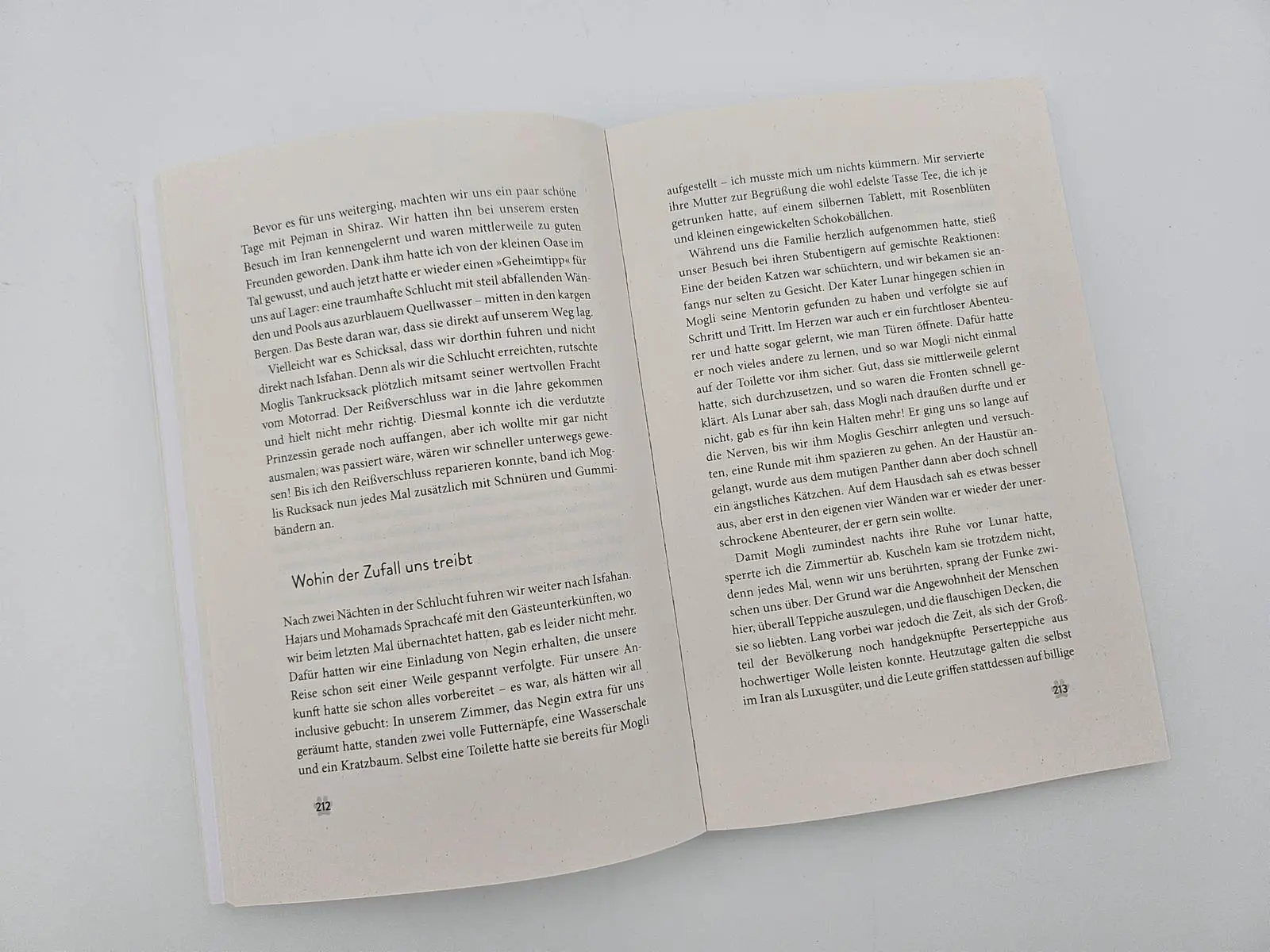 Bild: 9783890296029 | Mit der Katze weiter um die Welt | Martin Klauka | Taschenbuch | 2025