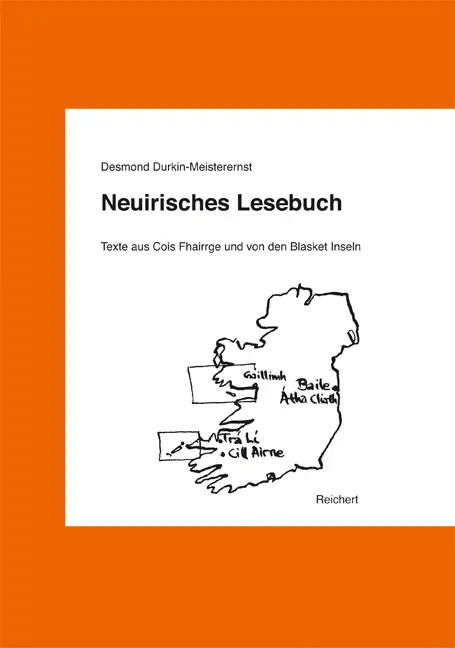 Cover: 9783895006029 | Neuirisches Lesebuch | Desmond Durkin-Meisterernst | Buch | Deutsch