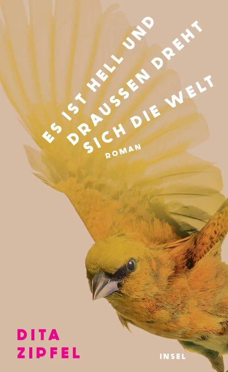 Cover: 9783458646129 | Es ist hell und draußen dreht sich die Welt | Dita Zipfel | Buch