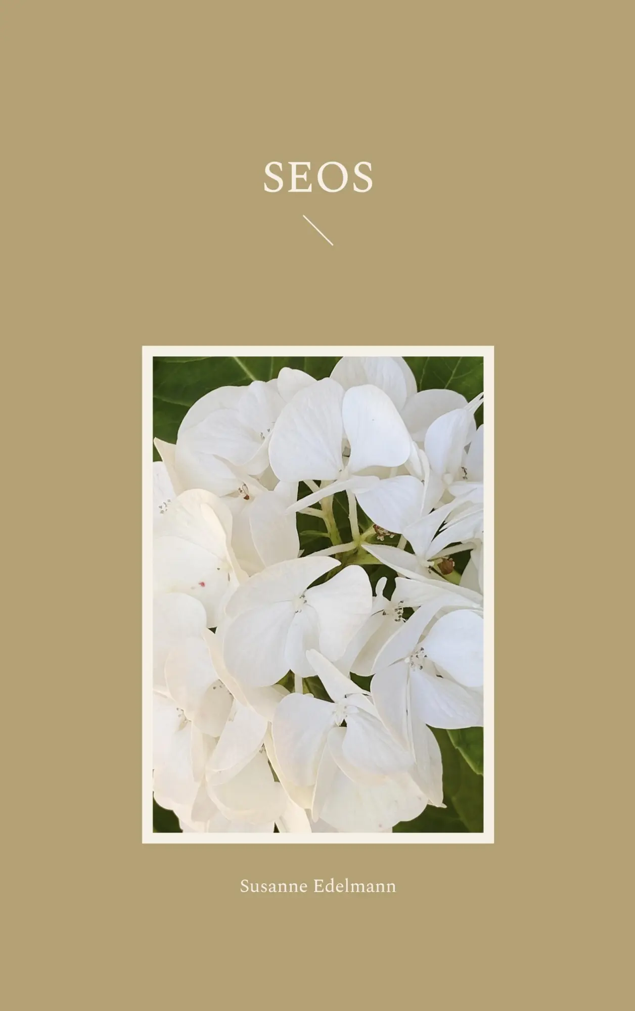 Cover: 9783756256129 | SEOS | Susanne Edelmann | Taschenbuch | 128 S. | Deutsch | 2022